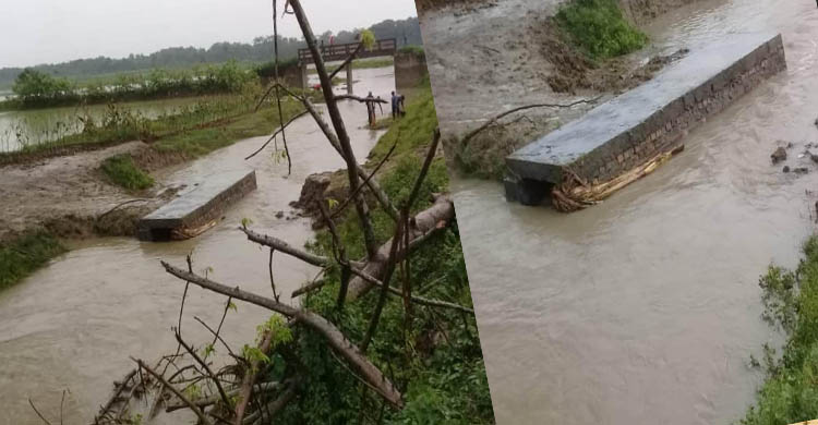 চৌগাছার সেই ভুয়া খালটির এখন কি হবে?