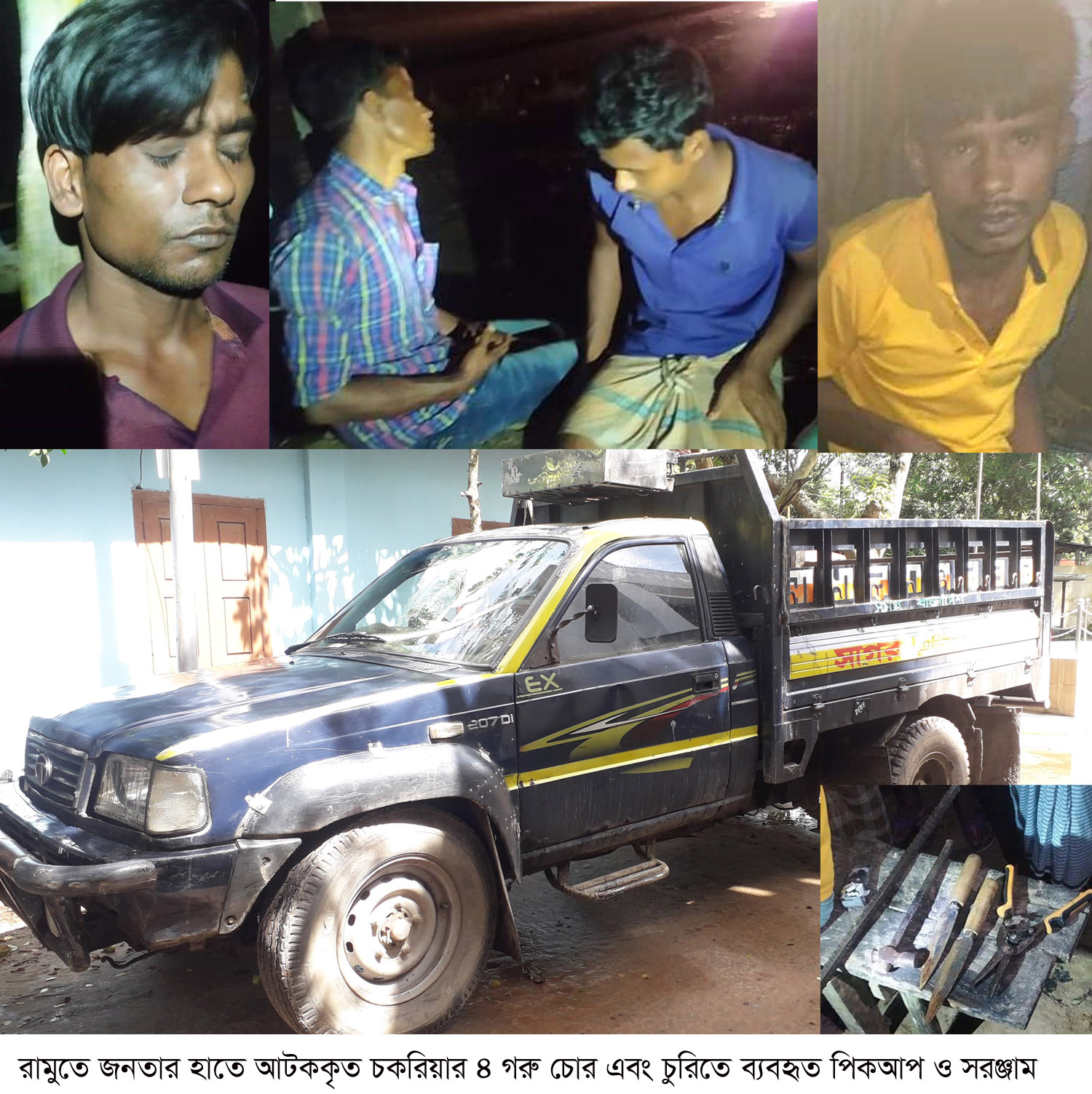 গরু চুরির সময় রামুতে চকরিয়ার ৪ চোর আটক, পিকআপসহ চুরির সরঞ্জাম জব্দ