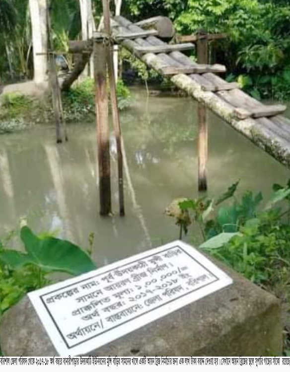 বানারীপাড়ায় আয়রণ ব্রিজের বরাদ্দে সাঁকো নির্মাণ !